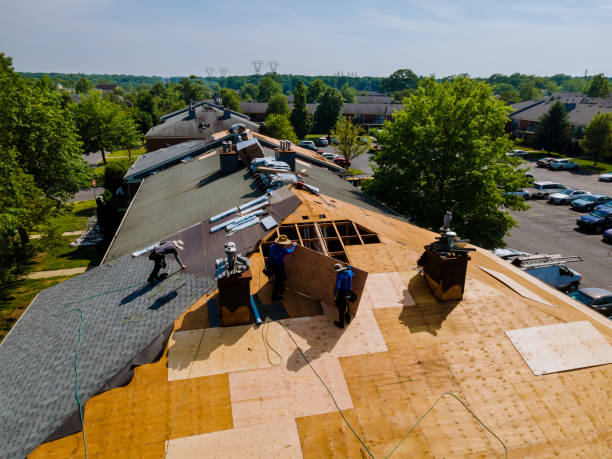 Quick and Trustworthy Emergency Roof Repair Services in Overton, TX