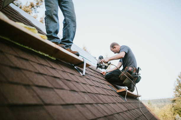 Best Roof Gutter Cleaning  in Overton, TX